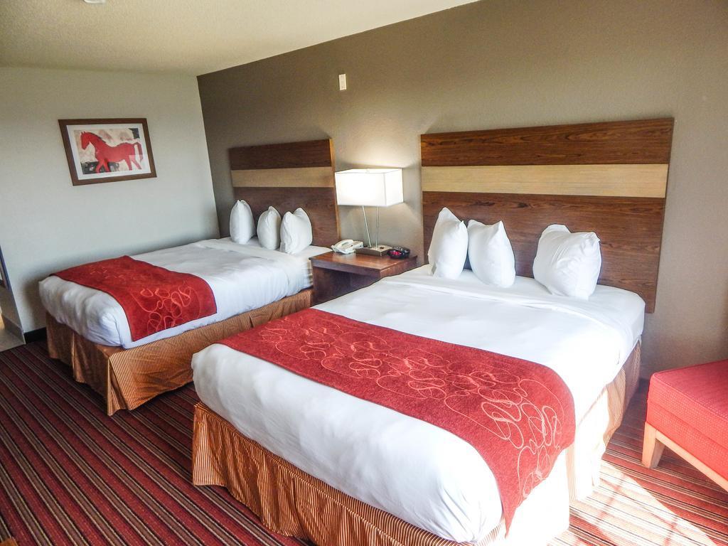 Country & By Radisson, Dfw Airport South, Tx Irving