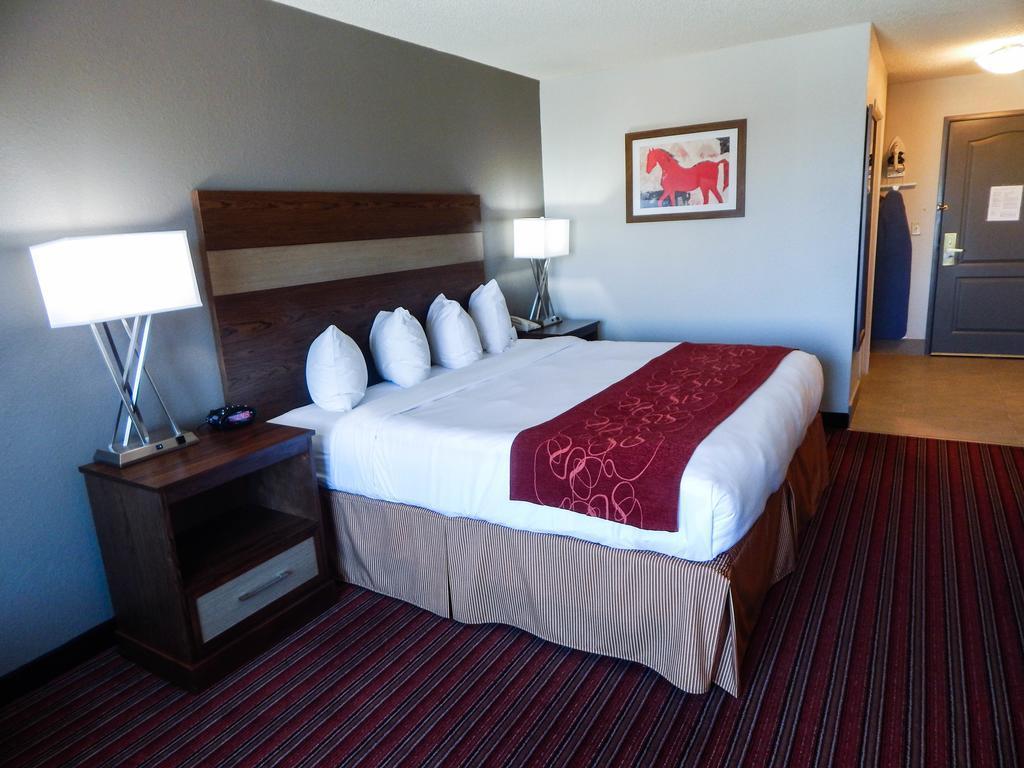 Country & By Radisson, Dfw Airport South, Tx 3*